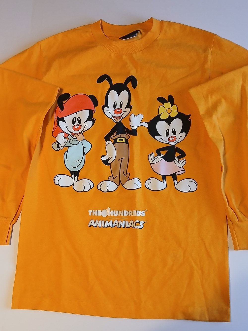 The Hundreds Orange Kids' Long Sleeve Animaniacs Graphic Tee